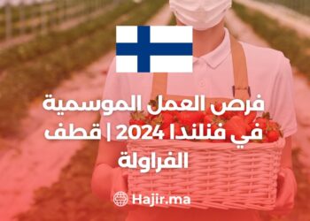 فرص العمل الموسمية في فنلندا 2024 | قطف الفراولة