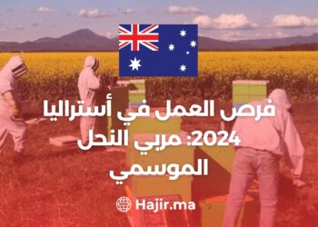 فرص العمل في أستراليا 2024: مربي النحل الموسمي