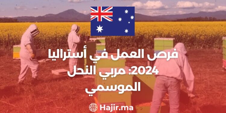 فرص العمل في أستراليا 2024: مربي النحل الموسمي