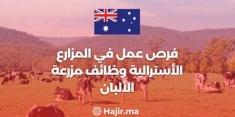 فرص عمل في المزارع الأسترالية وظائف مزرعة الألبان