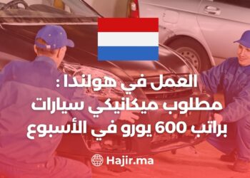 العمل في هولندا: مطلوب ميكانيكي سيارات براتب 600 يورو في الأسبوع