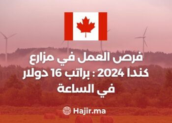 فرص العمل في مزارع كندا 2024 : براتب 16 دولار في الساعة