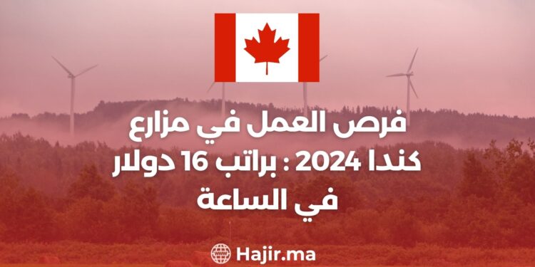 فرص العمل في مزارع كندا 2024 : براتب 16 دولار في الساعة