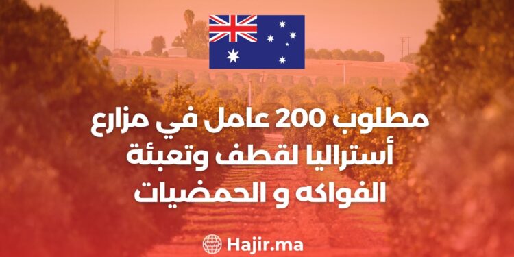مطلوب 200 عامل في مزارع أستراليا لقطف وتعبئة الفواكه و الحمضيات