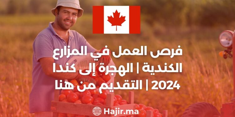 فرص العمل في المزارع الكندية | الهجرة إلى كندا 2024 | التقديم من هنا