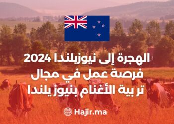 الهجرة إلى نيوزيلندا 2024 فرصة عمل في مجال تربية الأغنام بنيوزيلندا