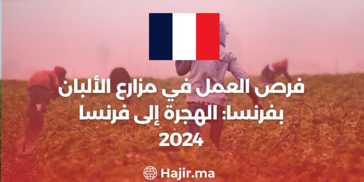 فرص العمل في مزارع الألبان بفرنسا: الهجرة إلى فرنسا 2024