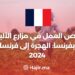 فرص العمل في مزارع الألبان بفرنسا: الهجرة إلى فرنسا 2024
