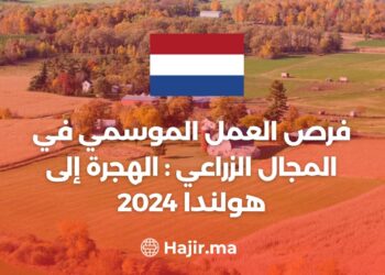 فرص العمل الموسمي في المجال الزراعي بهولندا: الهجرة إلى هولندا 2024