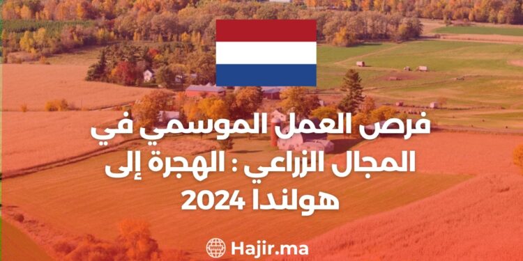 فرص العمل الموسمي في المجال الزراعي بهولندا: الهجرة إلى هولندا 2024