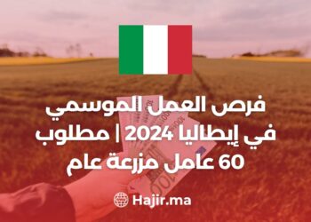 فرص العمل الموسمي في إيطاليا 2024 | مطلوب 60 عامل مزرعة عام - قطف الخضروات