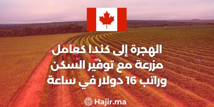 الهجرة إلى كندا كعامل مزرعة مع توفير السكن وراتب 16 دولار في ساعة