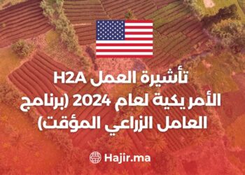 الدليل الشامل للحصول على تأشيرة العمل H2A الأمريكية لعام 2024 (برنامج العامل الزراعي المؤقت)