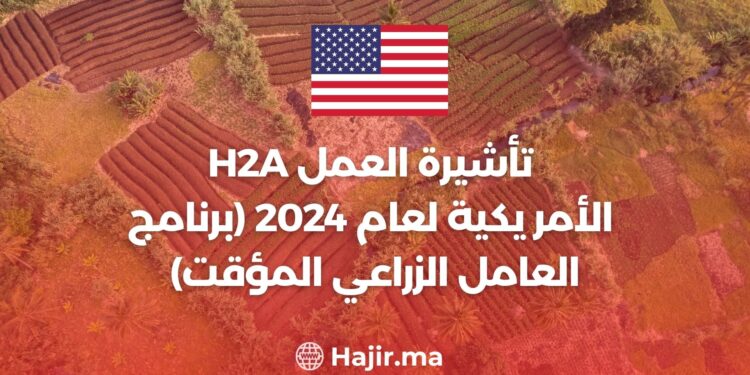الدليل الشامل للحصول على تأشيرة العمل H2A الأمريكية لعام 2024 (برنامج العامل الزراعي المؤقت)