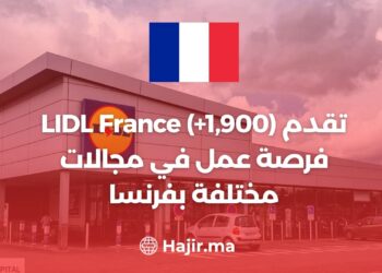 LIDL France (+1 900) propose des opportunités d'emploi en France