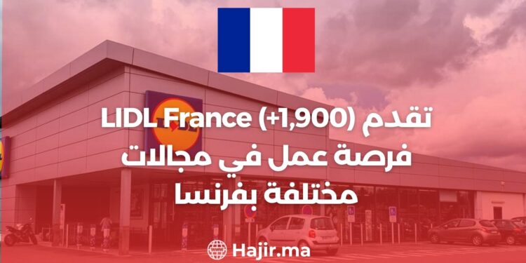 LIDL France (+1 900) propose des opportunités d'emploi en France