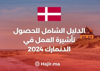 الدليل الشامل للحصول على تأشيرة العمل في الدنمارك 2024