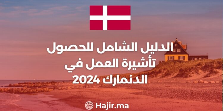 الدليل الشامل للحصول على تأشيرة العمل في الدنمارك 2024