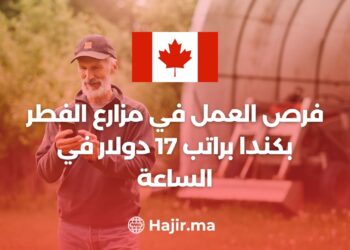 فرص العمل في مزارع الفطر بكندا براتب 17 دولار في الساعة