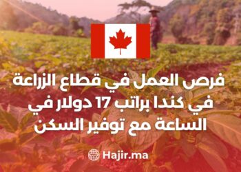 فرص العمل في قطاع الزراعة في كندا براتب 17 دولار في الساعة مع توفير السكن