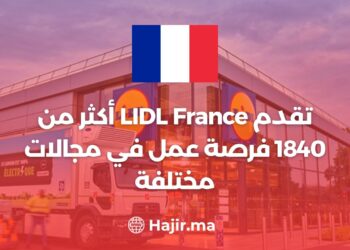 LIDL France (+1840) propose des opportunités d'emploi dans différents domaines