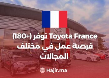 Toyota France (+180) opportunités d'emploi dans divers domaines