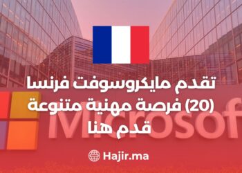Microsoft France offre (20) Diversités Opportunités Professionnelles / postulez ici