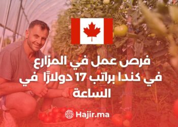 فرص عمل في المزارع في كندا براتب 17 دولارًا أمريكيًا في الساعة