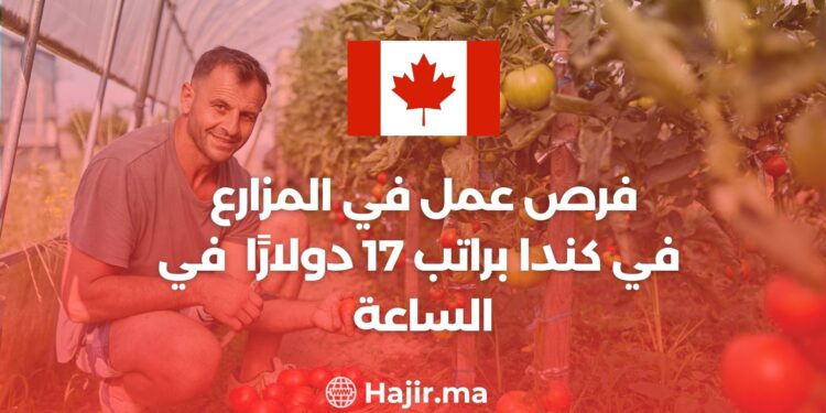 فرص عمل في المزارع في كندا براتب 17 دولارًا أمريكيًا في الساعة