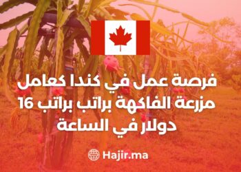 فرصة عمل في كندا كعامل مزرعة الفاكهة براتب براتب 16 دولار في الساعة