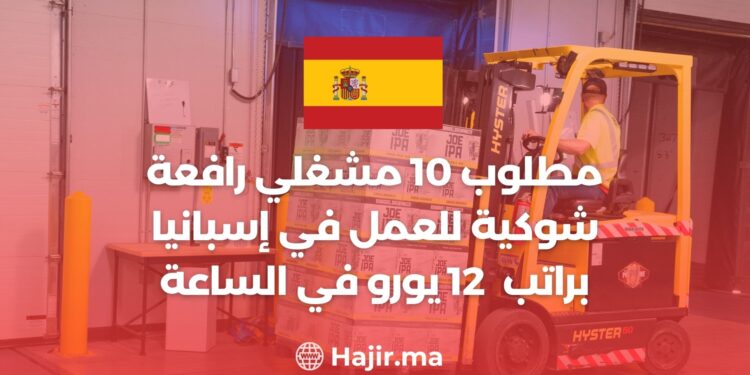 مطلوب 10 مشغلي رافعة شوكية للعمل في إسبانيا براتب 12 يورو في الساعة
