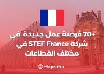 +70 opportunités d'emploi chez STEF France dans des secteurs variés