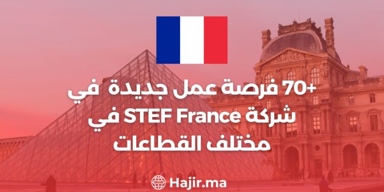 +70 opportunités d'emploi chez STEF France dans des secteurs variés