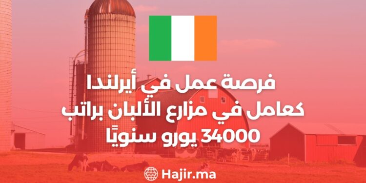 فرصة عمل في أيرلندا كعامل في مزارع الألبان براتب 34000 يورو سنويًا