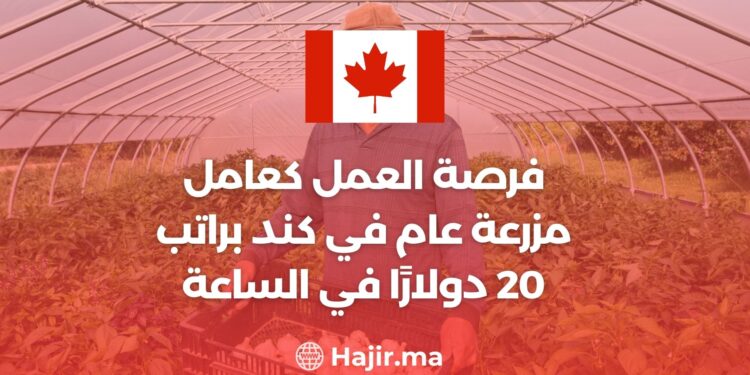 فرصة العمل كعامل مزرعة عام في كندا براتب 20 دولارًا في الساعة