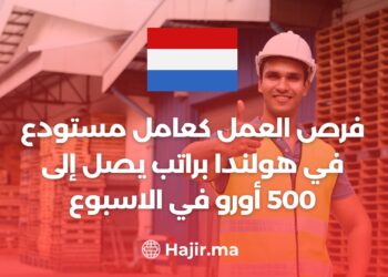 فرص العمل كعامل مستودع في هولندا براتب يصل إلى 500 أورو في الاسبوع