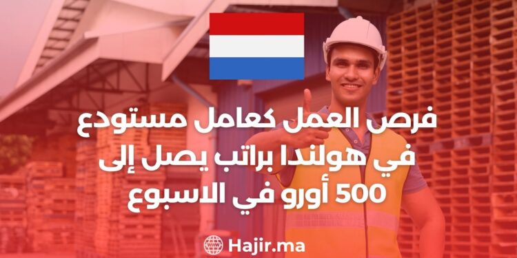 فرص العمل كعامل مستودع في هولندا براتب يصل إلى 500 أورو في الاسبوع
