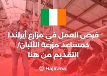 فرص العمل في مزارع أيرلندا كمساعد مزرعة الألبان/ التقديم من هنا