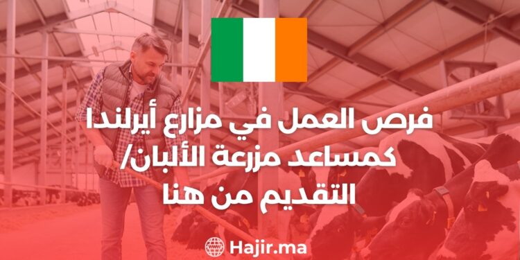 فرص العمل في مزارع أيرلندا كمساعد مزرعة الألبان/ التقديم من هنا