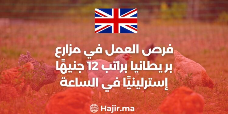 فرص العمل في مزارع بريطانيا براتب 12 جنيهًا إسترلينيًا في الساعة