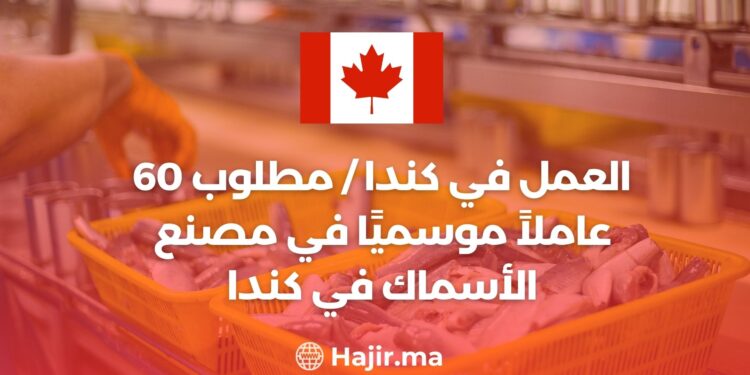العمل في كندا / مطلوب 60 عاملاً موسميًا في مصنع الأسماك في كندا