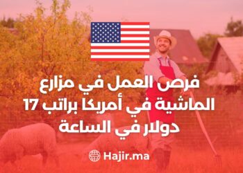 فرص العمل في مزارع الماشية في أمريكا براتب 17 دولار في الساعة