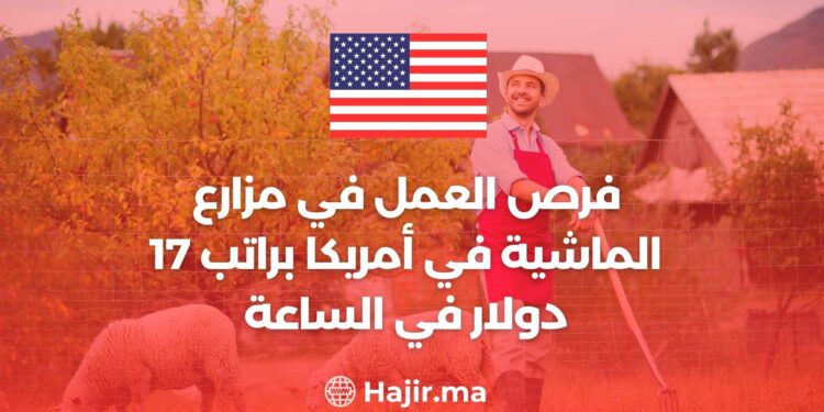 فرص العمل في مزارع الماشية في أمريكا براتب 17 دولار في الساعة