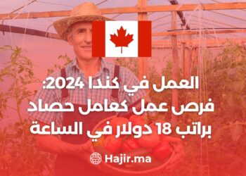 العمل في كندا 2024: فرص عمل كعامل حصاد براتب 18 دولار في الساعة