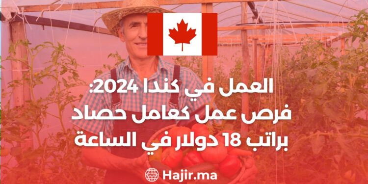 العمل في كندا 2024: فرص عمل كعامل حصاد براتب 18 دولار في الساعة