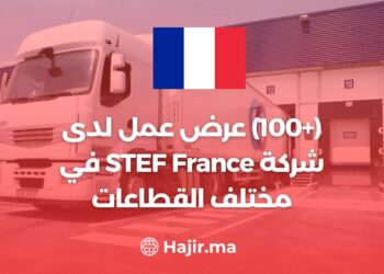 (+100) Offre d'emploi chez STEF France dans divers secteurs