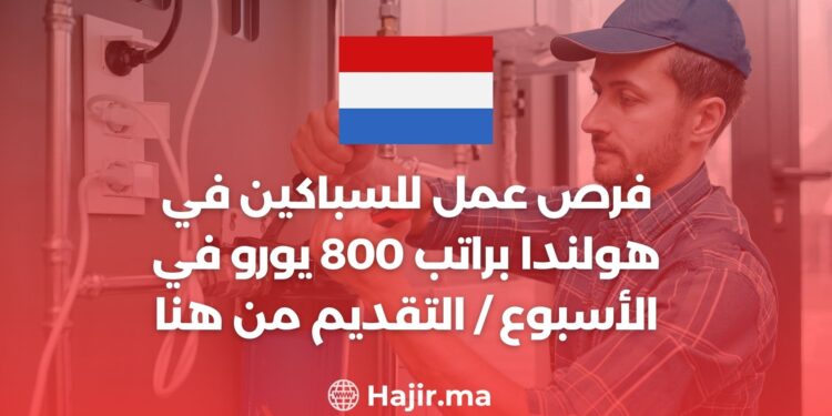 فرص عمل للسباكين في هولندا براتب 800 يورو في الأسبوع / التقديم من هنا