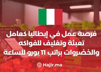 فرصة عمل في إيطاليا كعامل تعبئة وتغليف للفواكه والخضروات براتب 11 يورو في الساعة