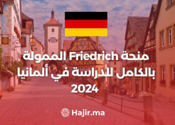 Friedrich Scholarship is Fully Funded to Study in Germany 2024