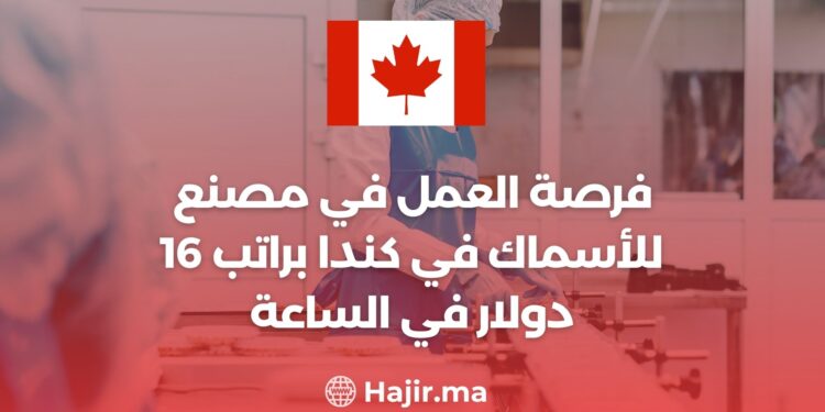 فرصة العمل في مصنع للأسماك في كندا براتب 16 دولار في الساعة